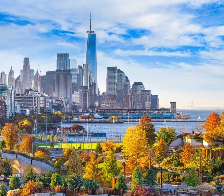 New York Law Firm Marketing